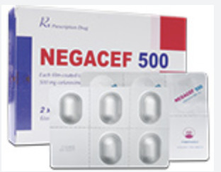 Negacef 500